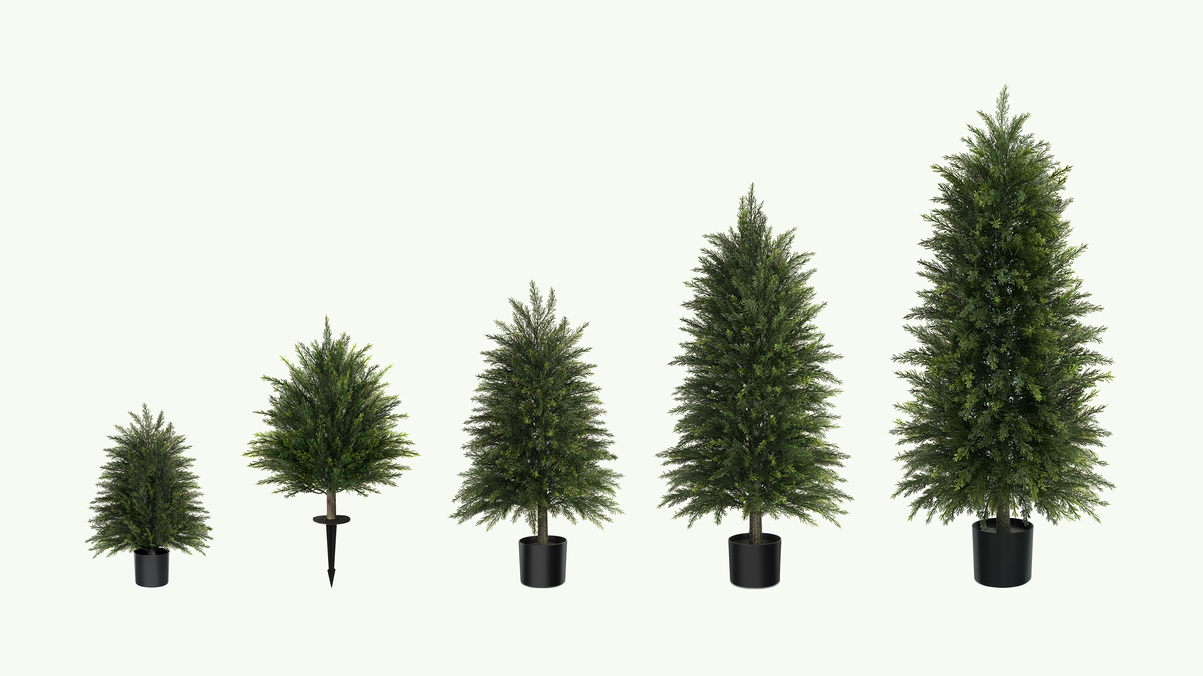 Mavis's Diary Realistic Cedar Tree Series