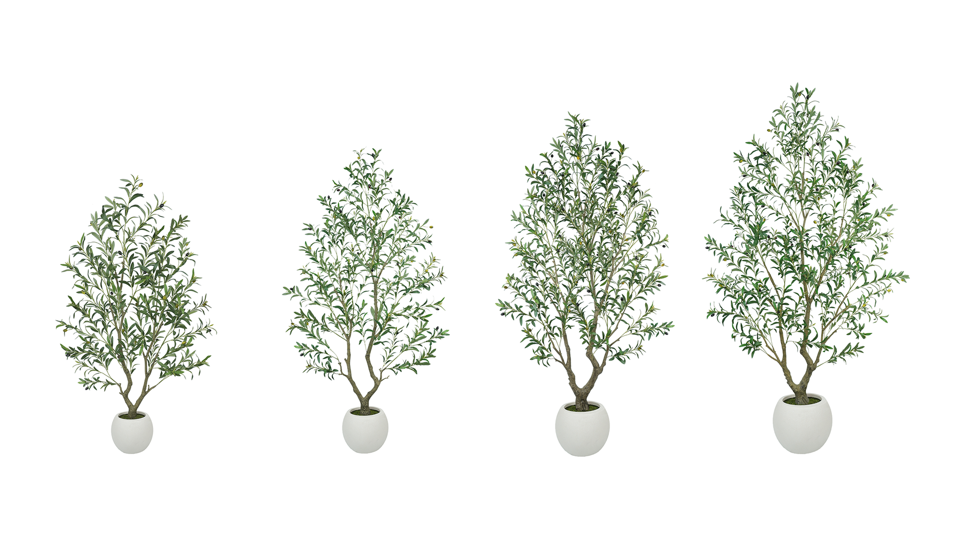 Vtalismo Newly Designed Olive Trees